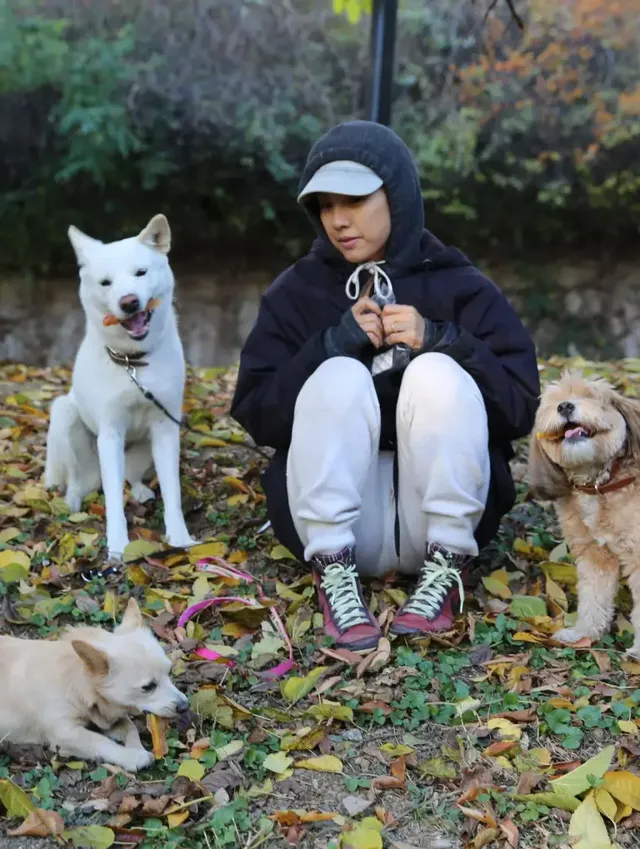 가을 낙엽 사이에서 반려견들과 보낸 한때 | 구아나가 남긴 가장 따스한 계절의 기록 /사진=이상순 인스타그램
