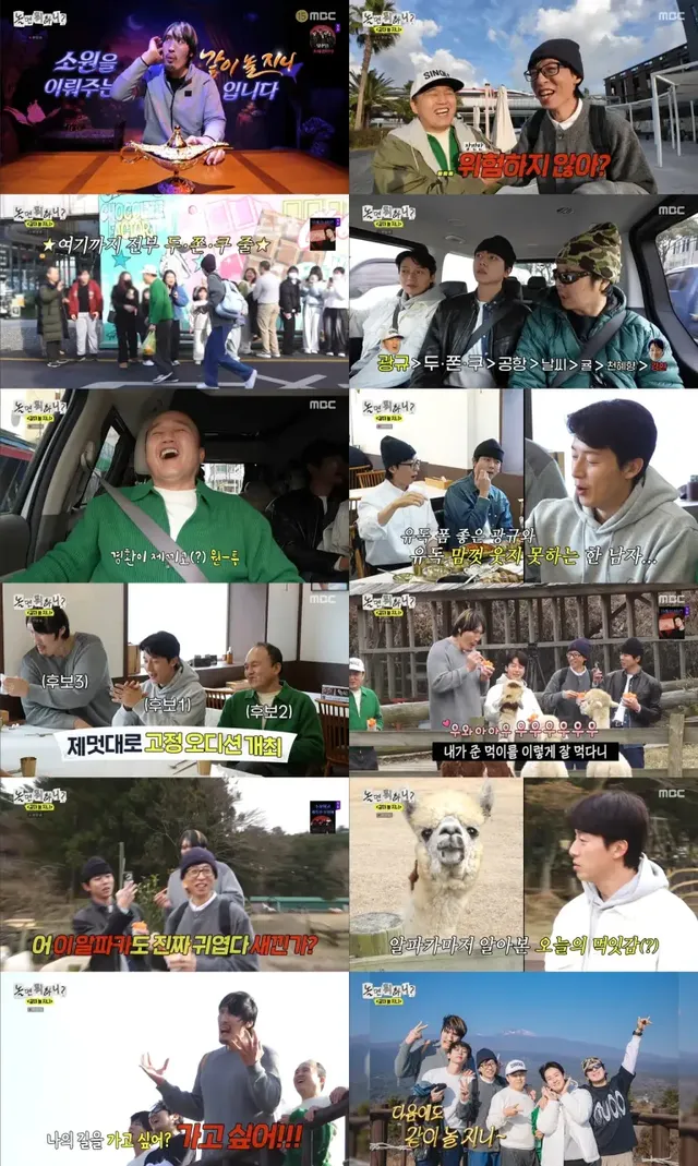 허경환, 알파카에게 침 세례 봉변 | 예상치 못한 상황 속에서 큰 웃음이 터져 나오다. /사진=MBC ‘놀면 뭐하니?’