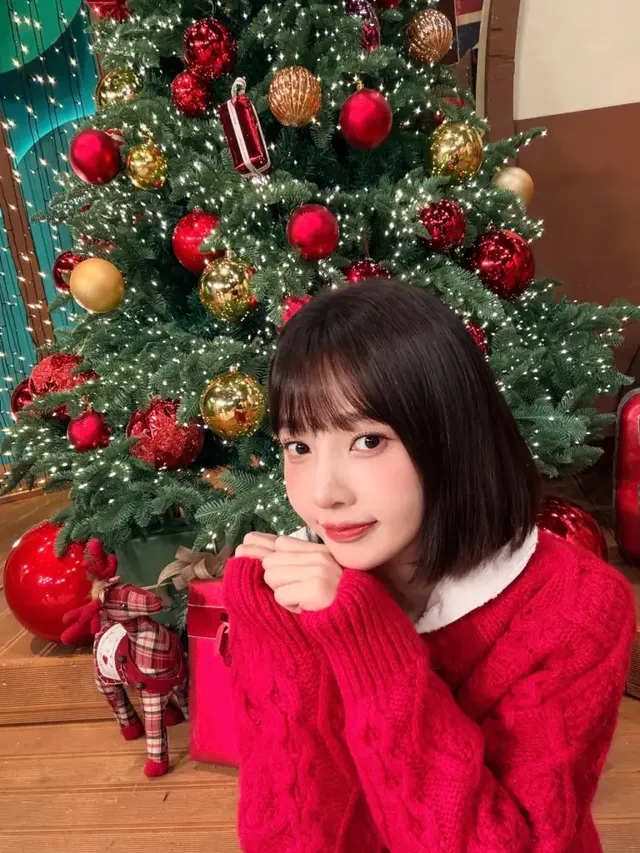 레드 케이블 니트 | "트리 장식이 따로 필요 없네" 인간 크리스마스로 변신한 조이 /사진=조이 인스타그램