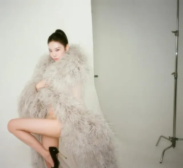 시스루 드레스 | 깃털 코트 아래 살짝 비치는 시어한 소재로 극대화한 신비로움 /사진=닝닝 인스타그램