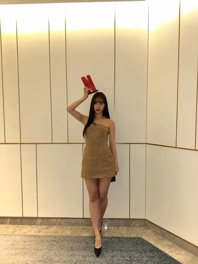 헤링본 체크 드레스 | 클래식한 패턴을 과감한 튜브톱 실루엣으로 재해석한 혜리의 반전 매력 /사진=혜리 인스타그램