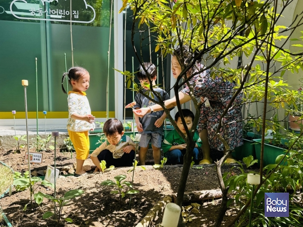 놀며 배우는 꿈동산 텃밭 정원. ⓒ김옥심