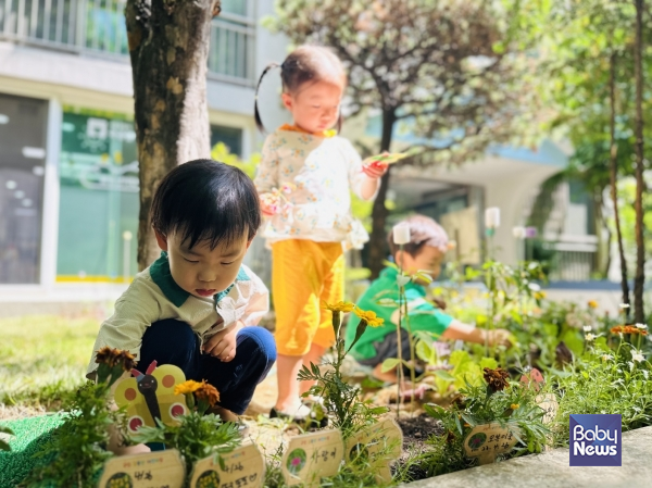 봄에 심은 작물들이 어느새 열매를 맺어 탐색도 하고, 물도 주고, 봄꽃, 봄 곤충들 사진을 보며 이야기 나누고, 곤충 막대인형을 만들어 놀이도 합니다. ⓒ김옥심
