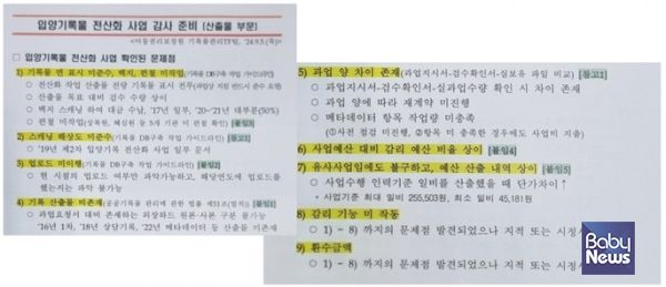 아동권리보장원의 자체 감사 계획 자료. ⓒ이수진 의원실