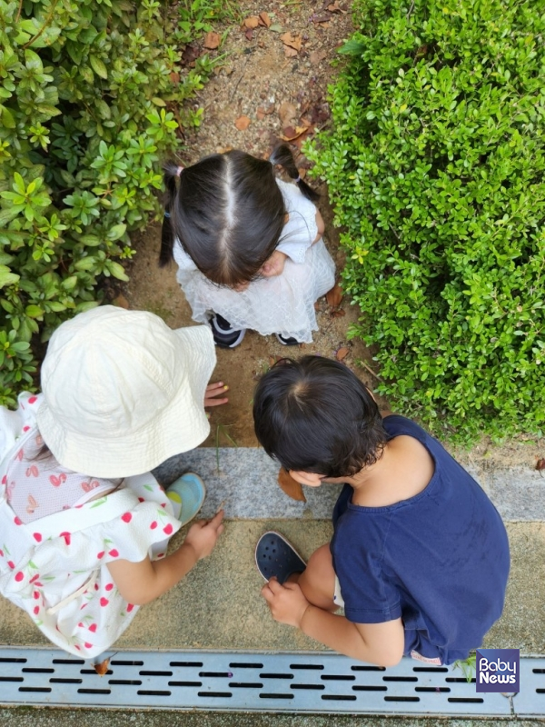 자연 속에서 놀이를 스스로 찾아 함께 노는 아이들. ⓒ공동육아와공동체교육