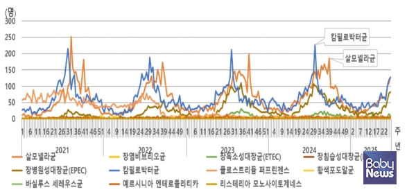 최근 5년간 표본감시 대상 세균성 장관감염증 발생 추이. ⓒ질병관리청