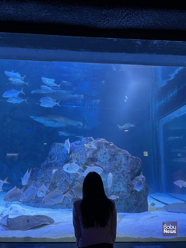 아쿠아리움에서 생각에 잠겨 있는 박지윤(가명). ⓒ초록우산