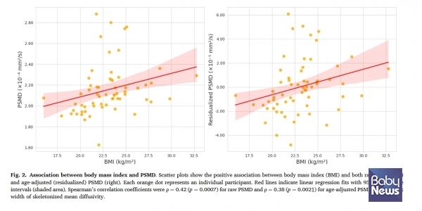 BMI와 PSMD의 관계, BMI가 높을수록 PSMD 수치도 함께 증가하는 경향을 보여준다. 이는 체중이 증가할수록 뇌 백질의 미세한 구조 변화가 커질 수 있음을 의미한다. ⓒ해운대백병원