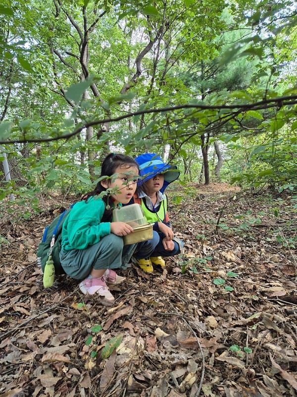 공동육아어린이집 아이들이 숲체험 활동을 하고 있는 모습. ⓒ최윤미