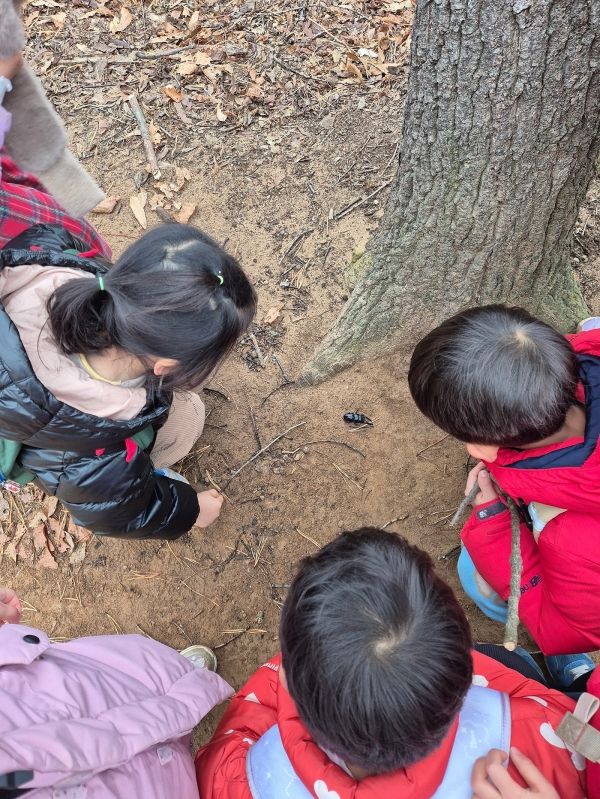 공동육아어린이집 아이들이 숲체험 활동을 하고 있는 모습. ⓒ최윤미