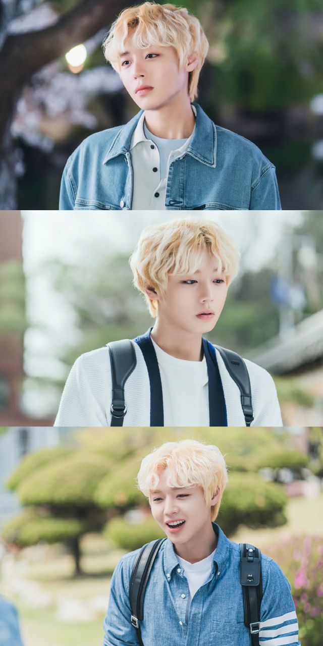 '멀리서 보면 푸른 봄' 박지훈, 눈부신 비주얼 女心저격