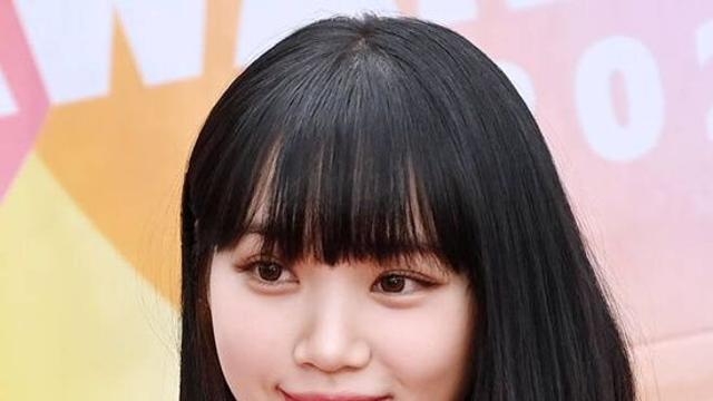 지드래곤→르세라핌 김채원까지, 해외發 가짜뉴스에 웃픈 해명 엑s 이슈