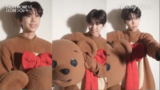 깜찍한 웅돌이가 왔어요… 임영웅 시즌 그리팅 어땠길래