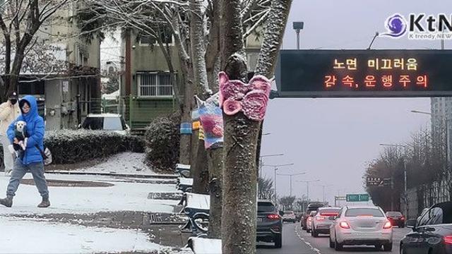 전국 오후부터 강추위, 강풍… 설 연휴 마지막 날 최강 한파 오늘·내일 날씨