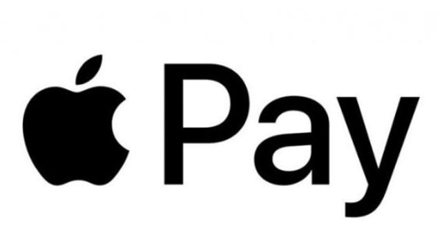 금융위원회 애플페이, 국내 서비스 가능