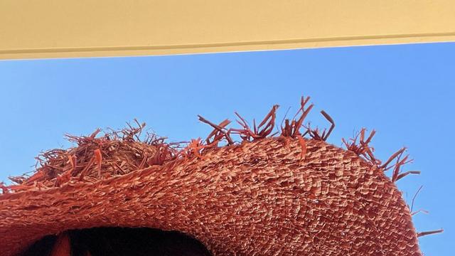 황신혜, 61세에도 가능한 비키니 자태··· 몸매→ 미모 다 가졌네