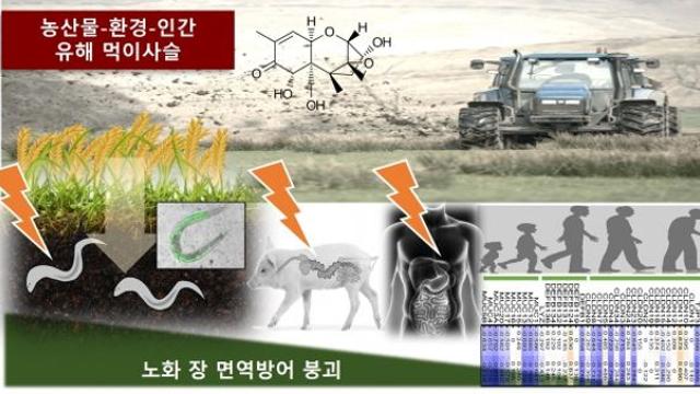 농산물 오염, 먹이사슬 생물계 원 헬스 위협