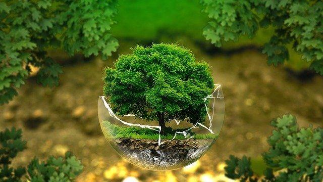 지구에서 5초 동안 산소가 사라지면 벌어진 일