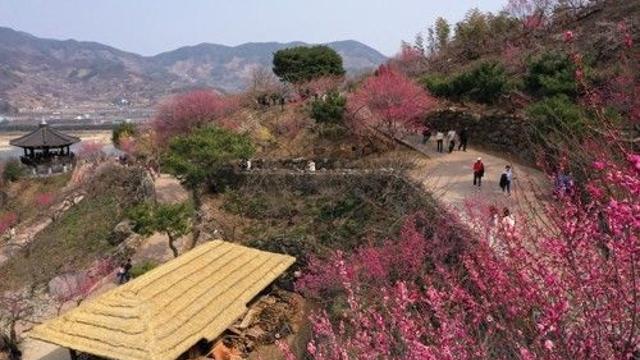 오늘도 완연한 봄 날씨…중부지방, 내일 오전까지 봄비