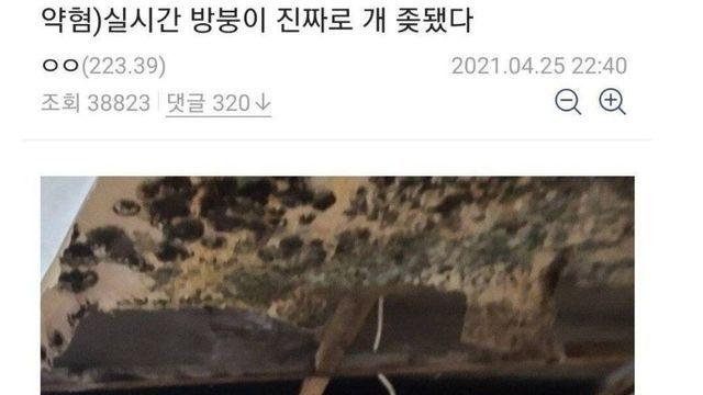 윗집 누수로 피해봤을때 꿀팁