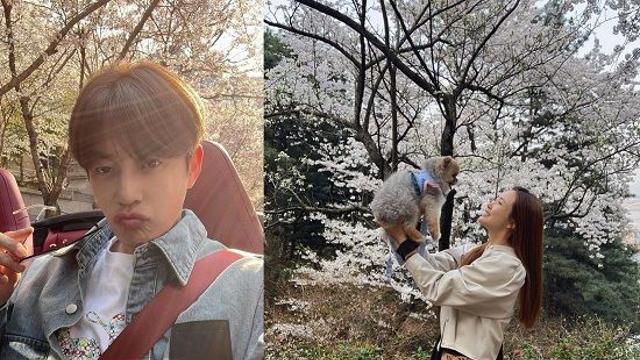 세븐, 결혼 앞둔 근황…♥이다해와 오픈카 타고 꽃놀이 갔나