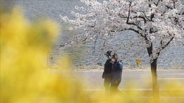 내일날씨 비 그친 뒤 꽃샘추위…전국 미세먼지도 나쁨
