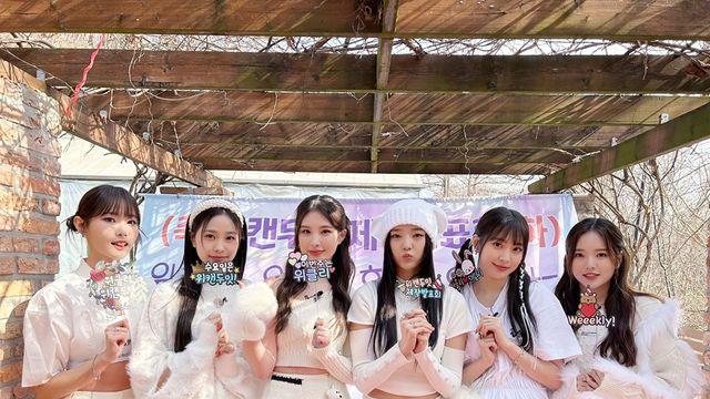위클리, 착한 맛 자체 예능 위캔두잇 종영 유기견 화보 프로젝트 등 선한 영향력 호평