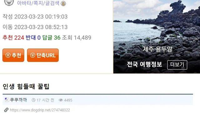 인생힘들때 꿀팁