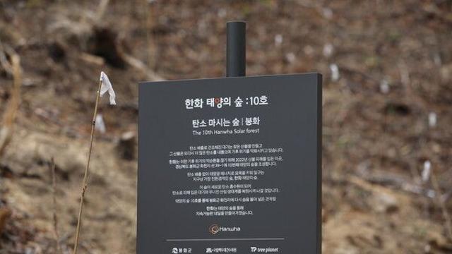 김승연·김동관 대 이은 한화 태양광, 태양의 숲 10호 결실