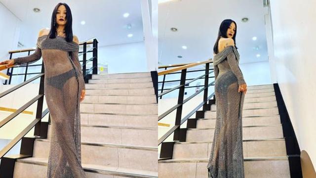 언니 너무 핫해요… 이효리가 SNS에 공개한 파격적인 전신 망사 드레스사진