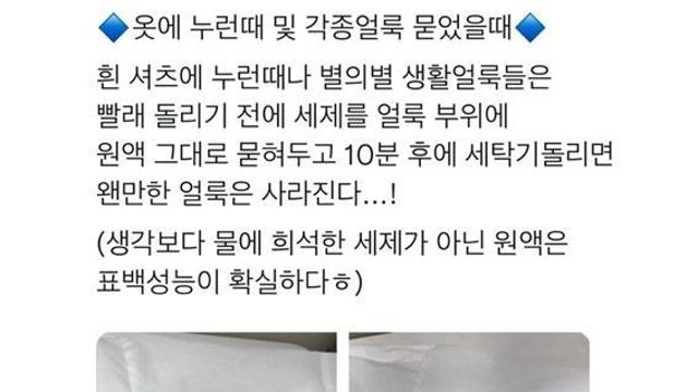 업계관계자의 정보가 개꿀팁인 이유