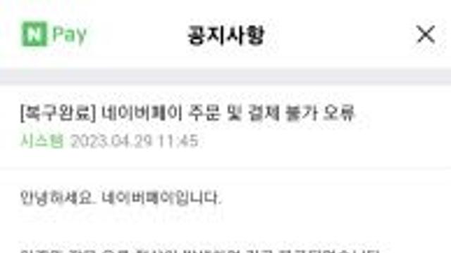 네이버페이 접속 장애 발생…불편 죄송