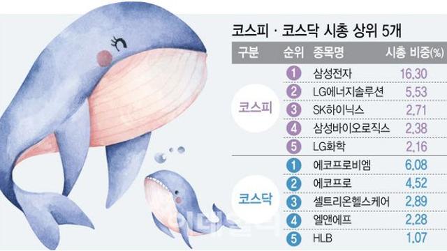 2차전지 광풍에…증시, 대형주 쏠림현상 심해졌다