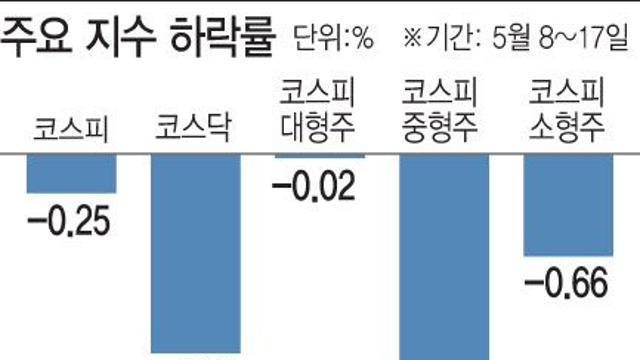 대형주 뜨고 중소형주 지고…증시 부익부 빈익빈