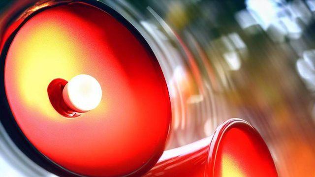 “강남 논현동 주택서 발견된 개미는…” 환경부, 초유의 긴급 사태에 급히 입장 발표