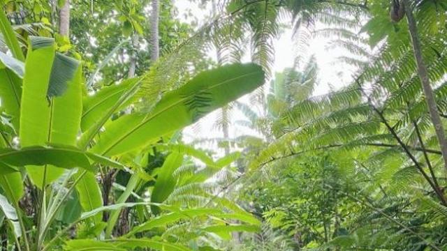 산다라박, 보라색 미니 원피스 찰떡궁합…소식좌 무색하게 볼륨 몸매 눈길