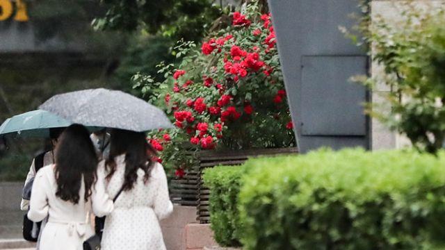 내일 날씨 비 또 오잖아… 무더위 누그러져, 낮 최고 28도