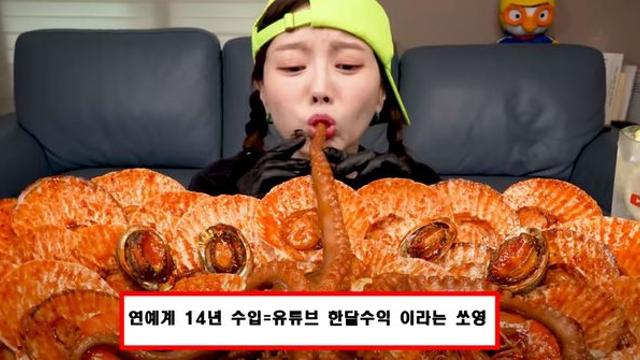 14년 연예인 수입먹방유튜버 한달 수입 전향하고 확 뜬 여자유튜버