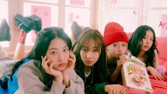 거위 배 가른 피프티 피프티, 냉담한 여론 왜 TF초점