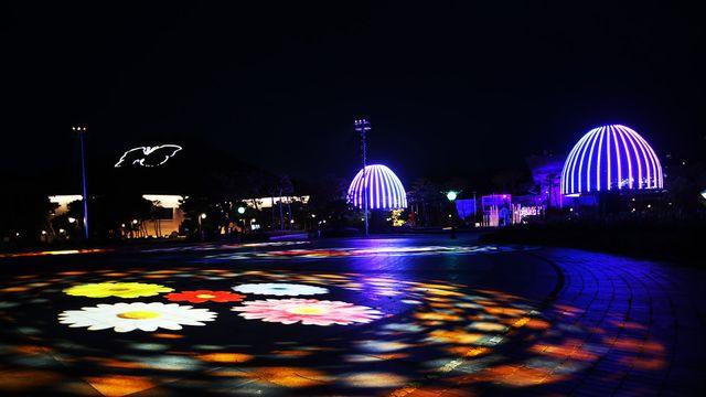 함평으로 떠나는 여름 휴가가 즐거운 이유