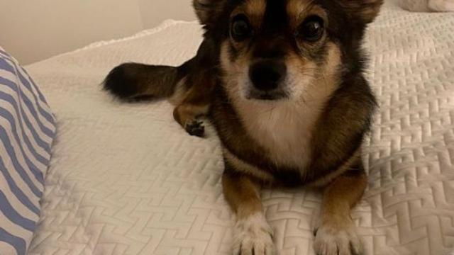 김무열♥ 윤승아, 젬마엄마의 일상 잘 지내고 있어요