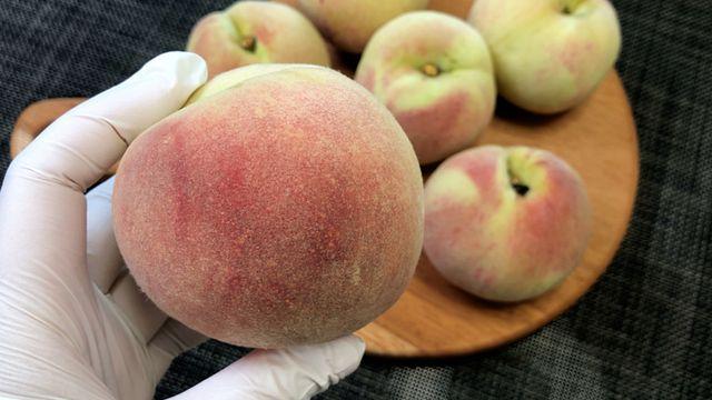 복숭아 보관할 때 이것만은 꼭 지켜주세요