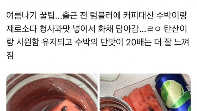 여름엔 텀블러에 커피 대신 화채 꿀팁