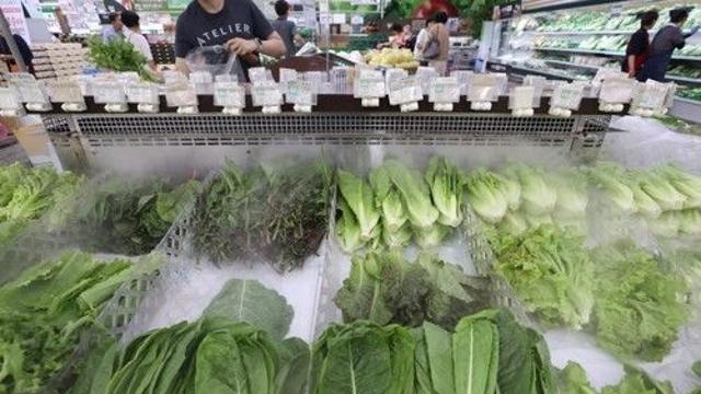 장맛비에 채솟값 폭등…식당서 손님은 눈치·사장은 한숨