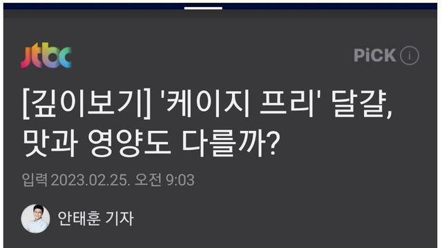 동물복지 계란… 영양분 차이 없어