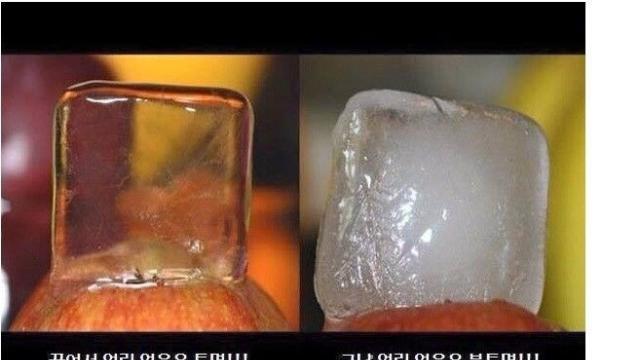 생활하며 유용한 꿀팁..