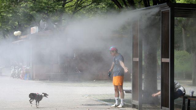 오늘날씨 당분간 폭염 계속… 낮 36도까지 치솟는다