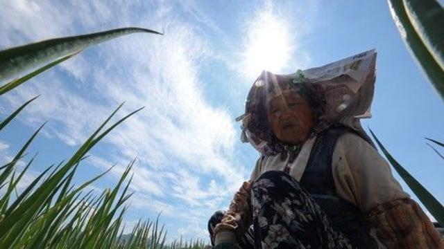 오늘도 찜통 낮 최고 38도…오후 곳곳 소나기