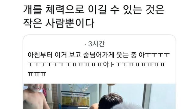 물놀이하다 지친 강아지 근황.jpg