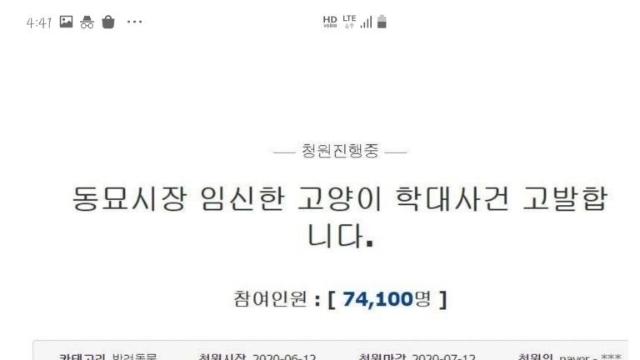 고양이 카페 사건‥